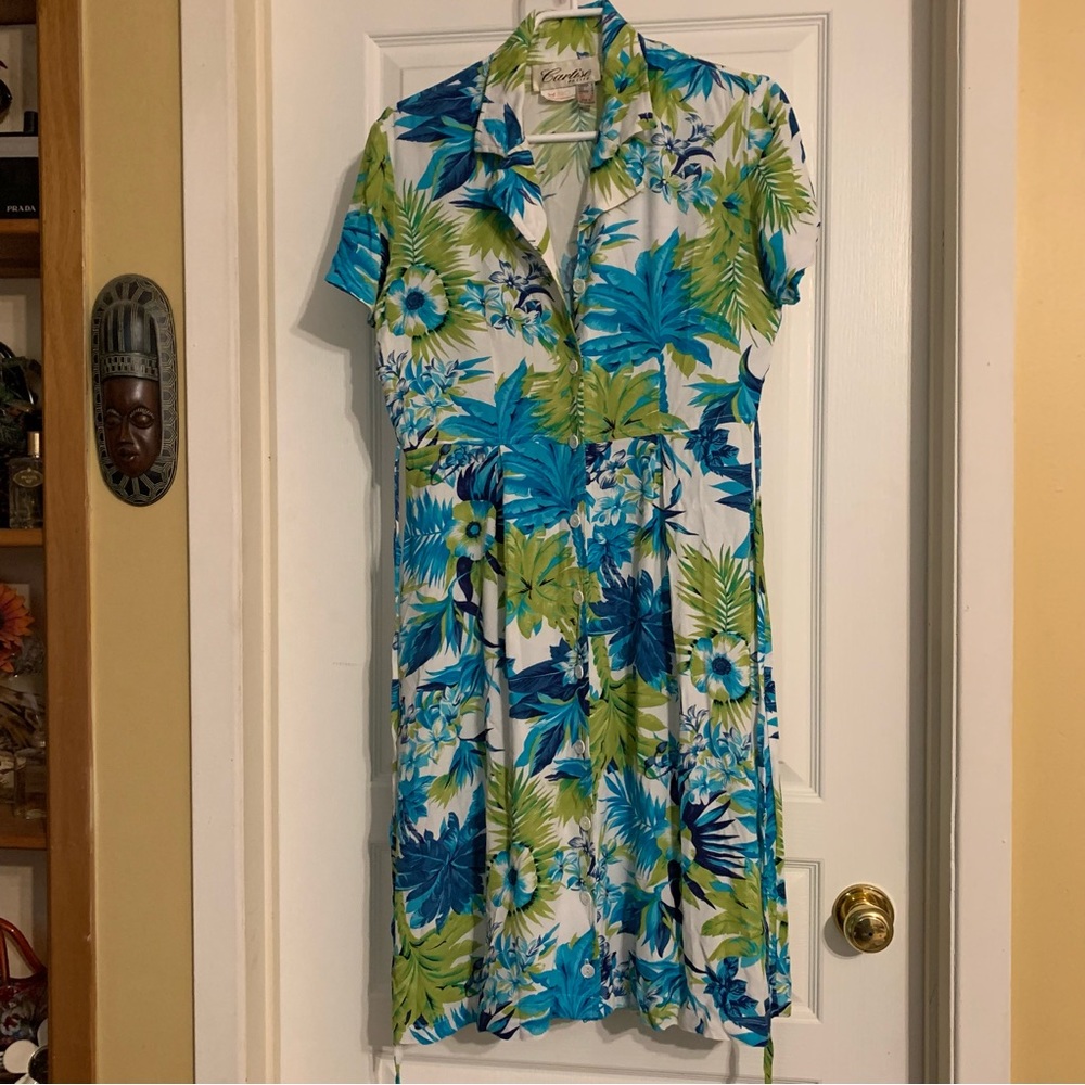 Vintage cruise wear fawna dress